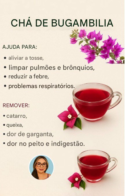 556606462 1899955383914827 5338611677082904432 n